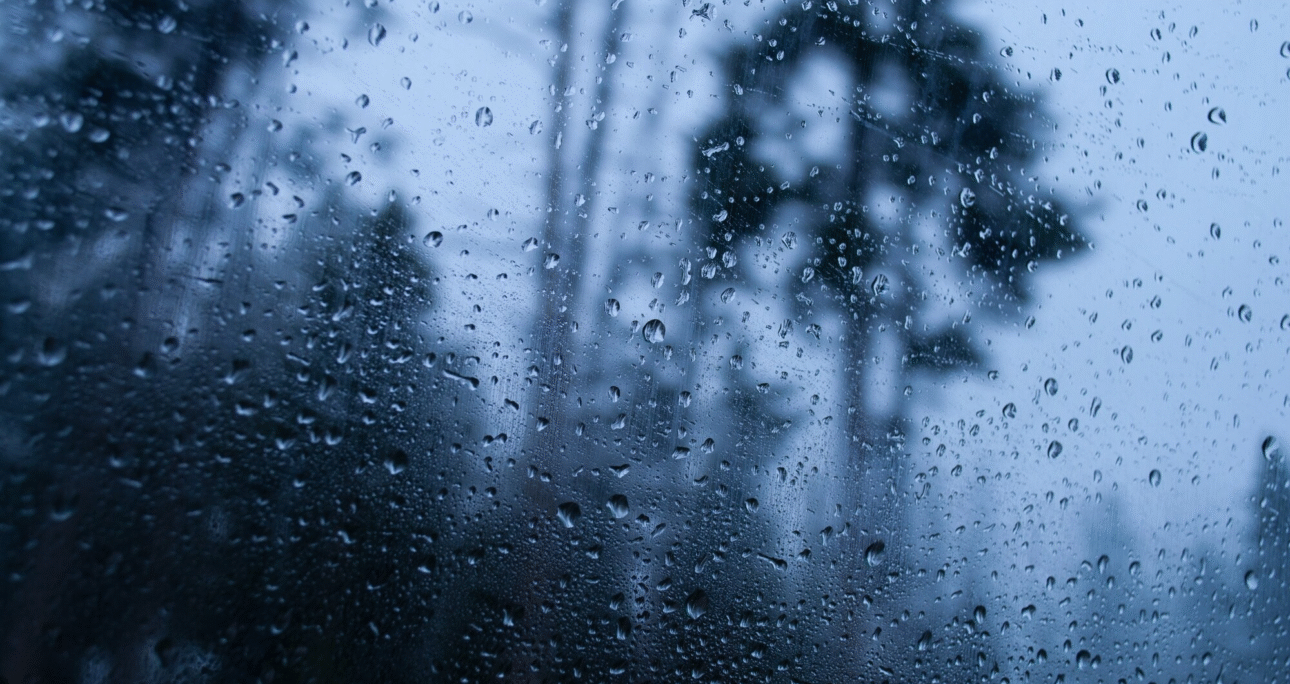 Talking Rain