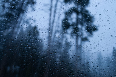 Talking Rain