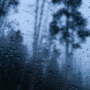 Talking Rain