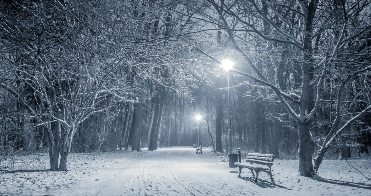Someone for the Cold