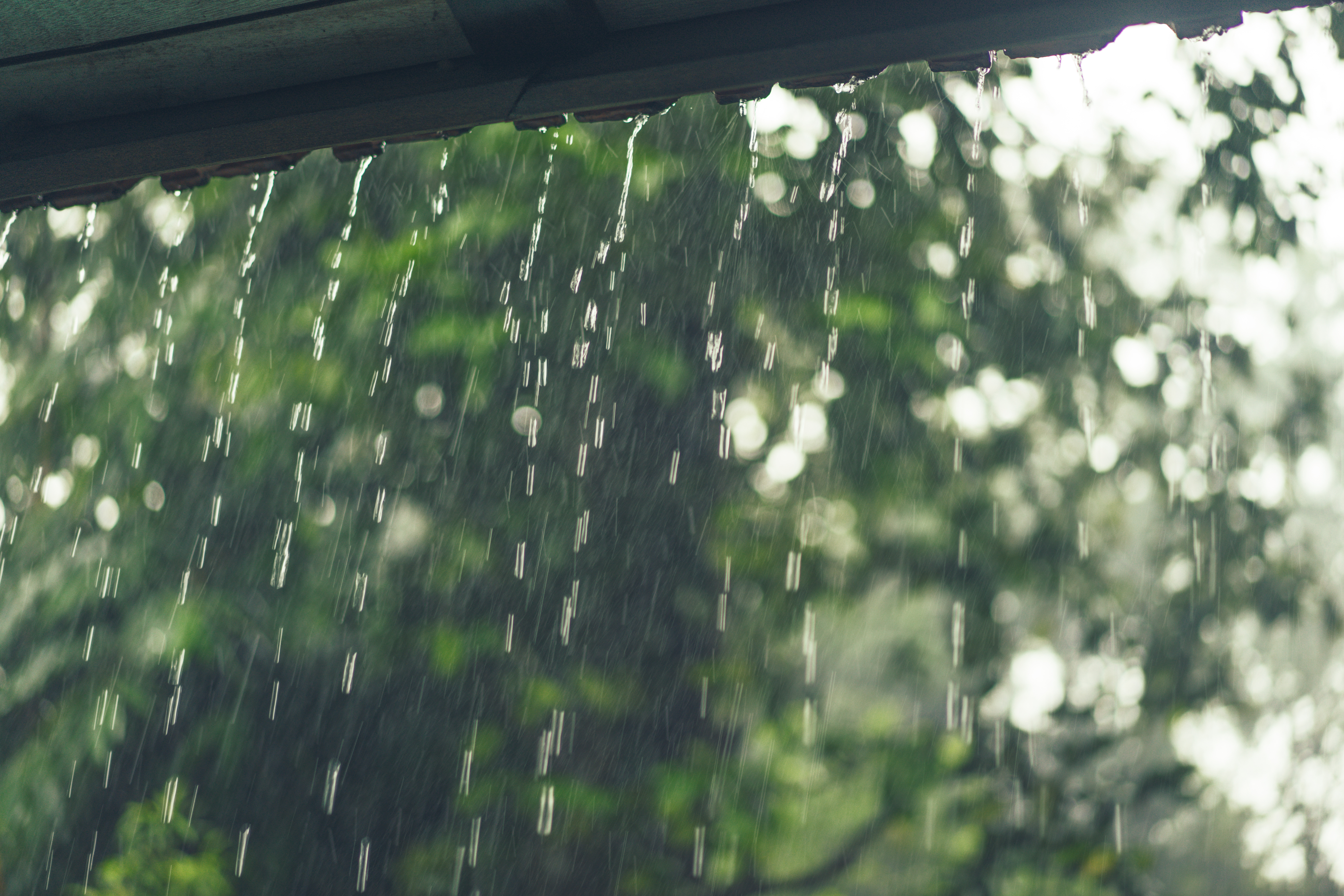 It’s Raining Hard Here….
