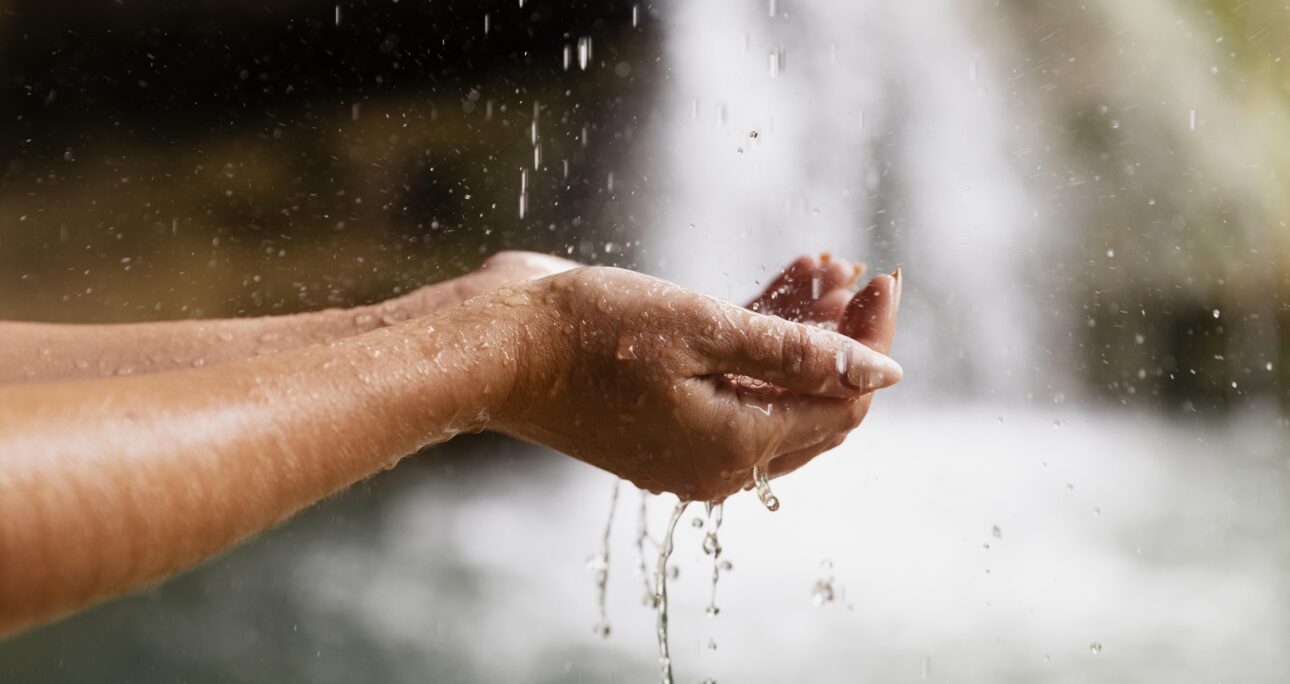 Talking Rain